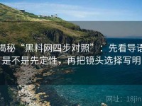 揭秘“黑料网四步对照”：先看导语是不是先定性，再把镜头选择写明