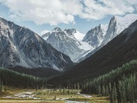 觅圈体检卡：精细化管理提升效率的关键