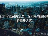 菠萝TV读完再复述：探索高质量影视的完美之选
