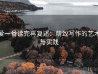 爱一番读完再复述：精致写作的艺术与实践